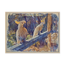 Cockatoo Prendido de Enxofre Australiano