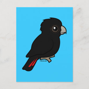 Cartão Postal Cockatoo preto de cauda vermelha