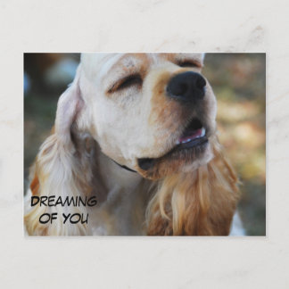 Cartão Postal Cocker