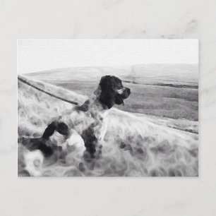 Cartão Postal Cocker Spaniel