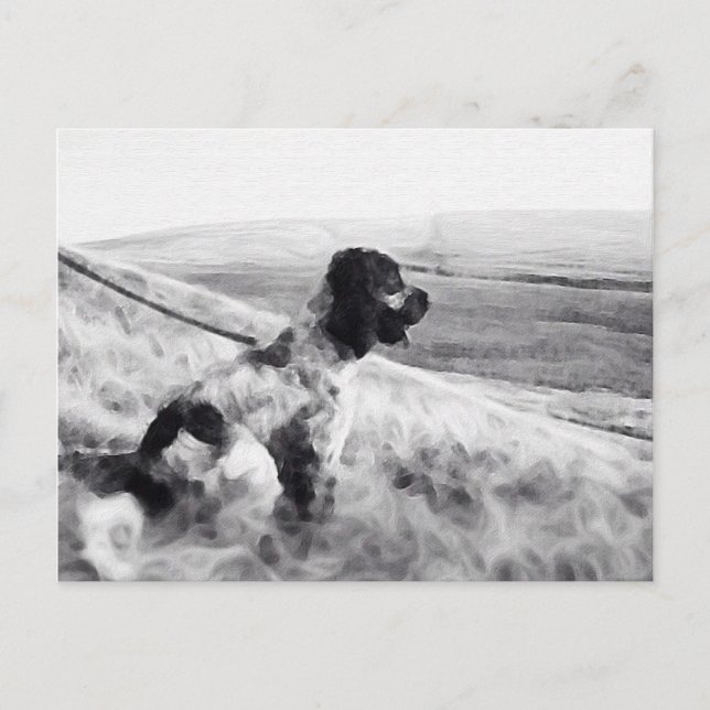 Cartão Postal Cocker Spaniel (Frente)