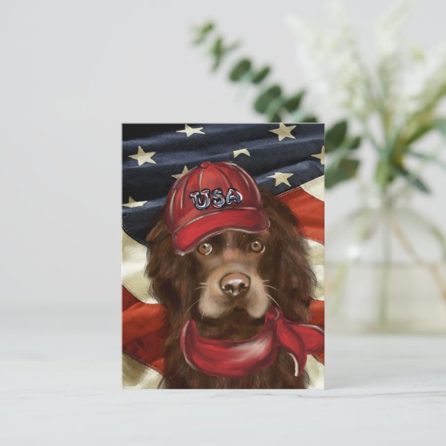 Cartão Postal Cocker Spaniel Americano (Em pé/Frente)