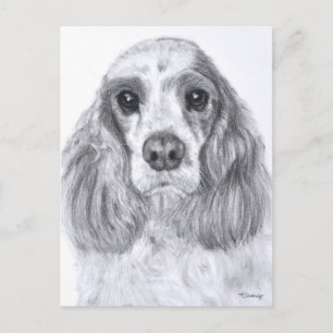 Cartão Postal Cocker Spaniel Red White Art