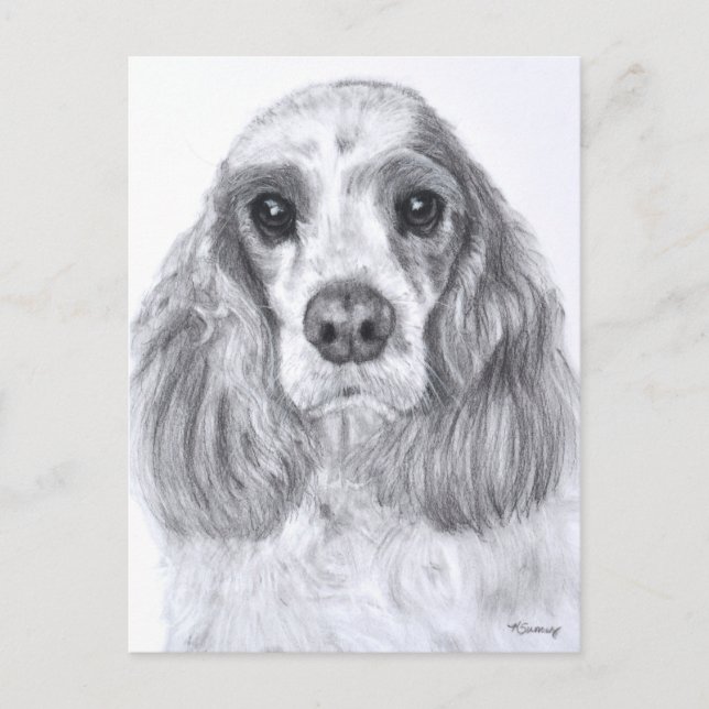 Cartão Postal Cocker Spaniel Red White Art (Frente)
