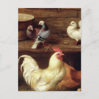 Cartão Postal Cockerel Hen E Pintinhos Com Pombos