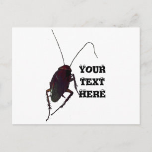 Cartão Postal Cockroach