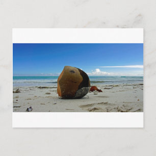 Cartão Postal coco caribe