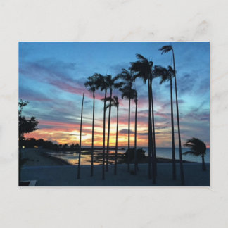 Cartão Postal Coco na praia