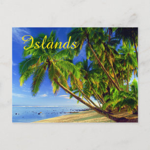 Cartão Postal Coconut Palm Tree Sandy Tropical Beach