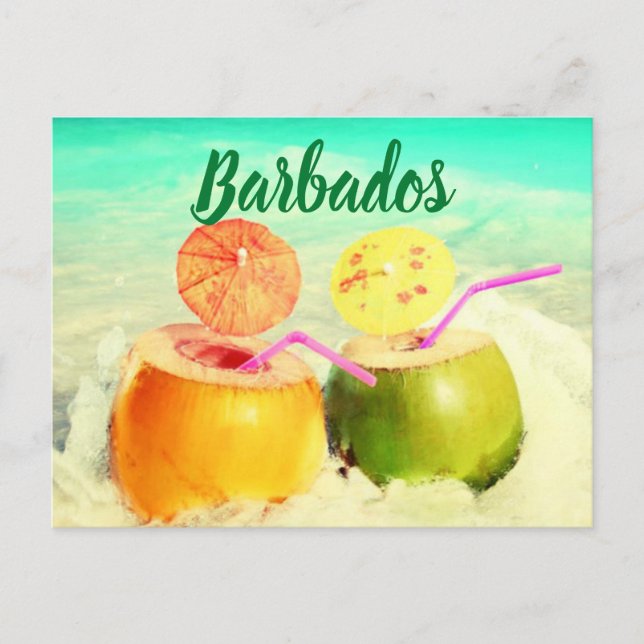 Cartão Postal cocos da Barbuda (Frente)