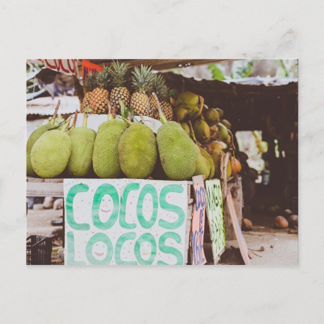 Cartão Postal Cocos Locos (Frente)