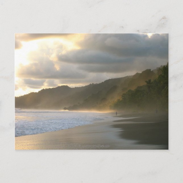 Cartão Postal Cocovado National Park Coastline (Frente)