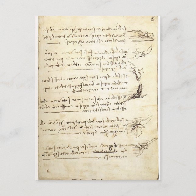 Cartão Postal Codex sobre o voo de aves por Leonardo da Vinci (Frente)