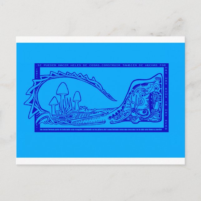 Cartão Postal codrilo (Frente)