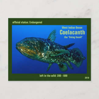Cartão Postal Coelaconth, "os peixes fósseis de vida" é psto em