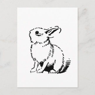 Cartão Postal coelho