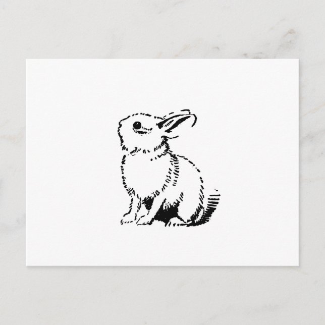 Cartão Postal coelho (Frente)