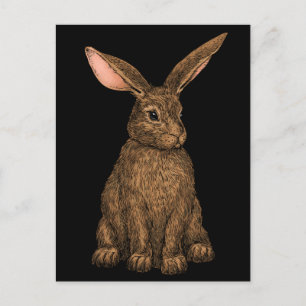 Cartão Postal Coelho 3