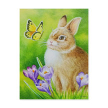 Coelho-Algodão Borboleta Crocus Watercolor Art