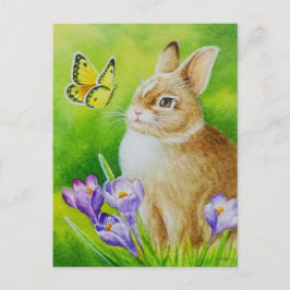Cartão Postal Coelho-Algodão Borboleta Crocus Watercolor Art