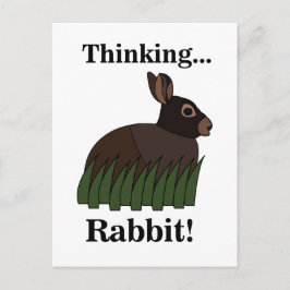 Cartão Postal Coelho Animal Fofo Bunny