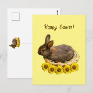 Cartão Postal Coelho bebê bonito - coelho da Páscoa