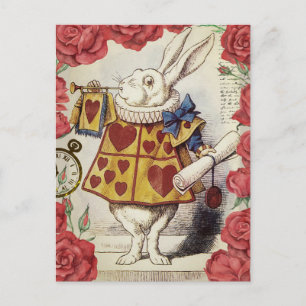 Cartão Postal Coelho Branco