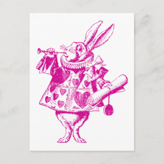 Cartão Postal Coelho Branco Herald Incluso Rosa