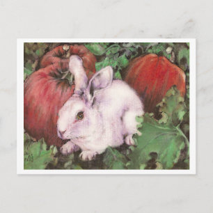 Cartão Postal Coelho Branco no Patch da Abóbora