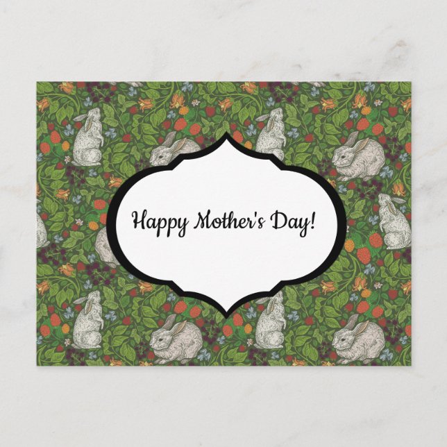 Cartão Postal Coelho Branco vitoriano do coelho branco-do-jardim (Frente)