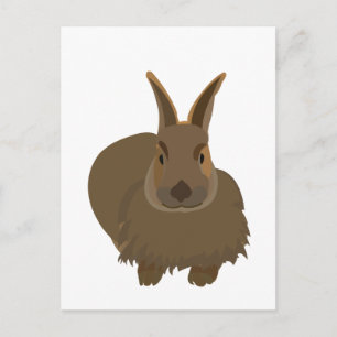 Cartão Postal Coelho Bunny 