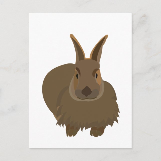 Cartão Postal Coelho Bunny  (Frente)