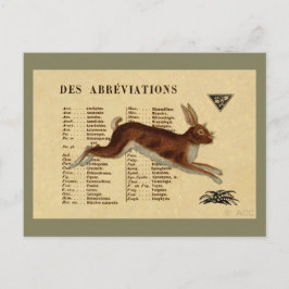 Cartão Postal Coelho castanho