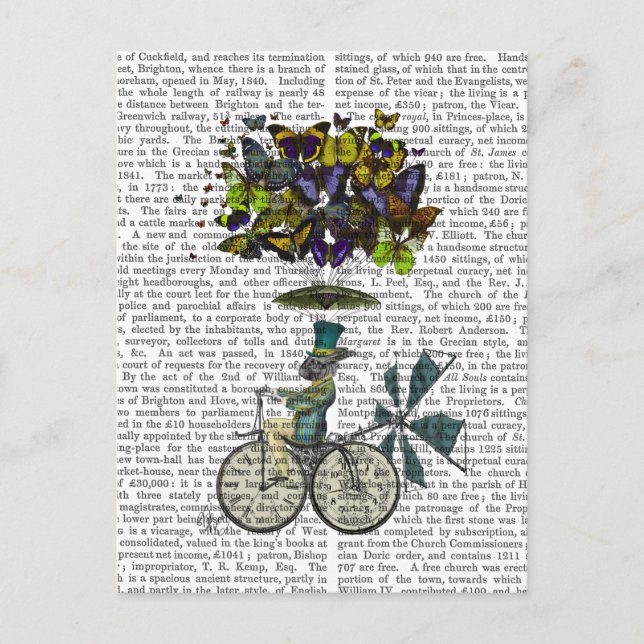 Cartão Postal Coelho das Moscas do Tempo (Frente)