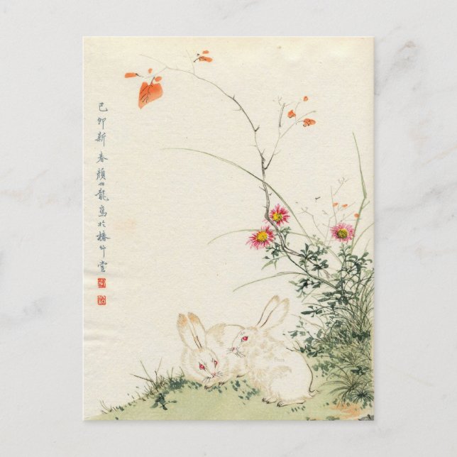 Cartão Postal Coelho Japonês (Frente)