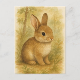 Cartão Postal Coelho Lebre Jovem Coelho Bebê Animais Selvagens C