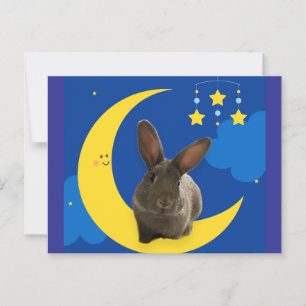 Cartão Postal Coelho Lunar