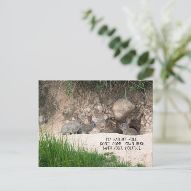 Cartão Postal Coelho Político Burra Coelhinho Fotografia Coelho  (Em pé/Frente)