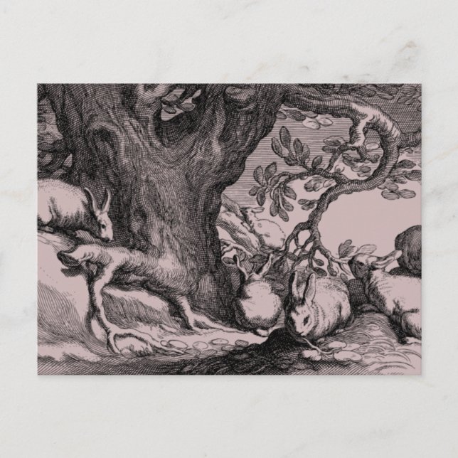 Cartão Postal Coelhos coelhinhos com retrô (Frente)