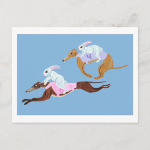 Cartão Postal Coelhos montando Galgos