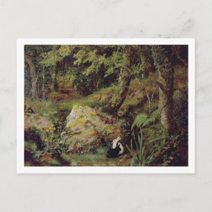 Cartão Postal Coelhos vadios