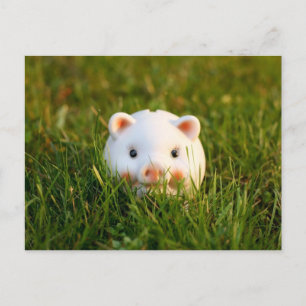 Cartão Postal Cofrinho