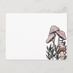 Cartão Postal Cogumelos