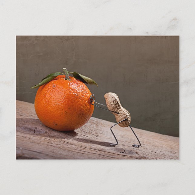 Cartão Postal Coisas Simples - Sísifos (Frente)