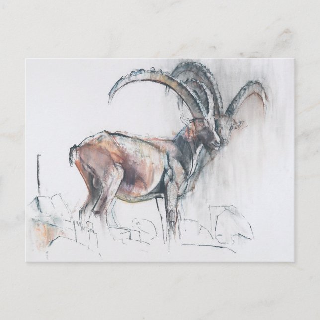 Cartão Postal Col di Vermianaz (Frente)