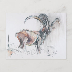 Cartão Postal Col di Vermianaz