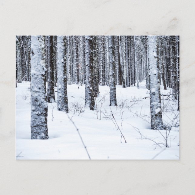 CARTÃO POSTAL COL DU MOLLENDRUZ, MONT-LA-VILLE, SUIÇA (Frente)