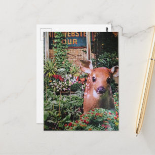 Cartão Postal Colagem Adorável de um Filhote de Veado no Jardim