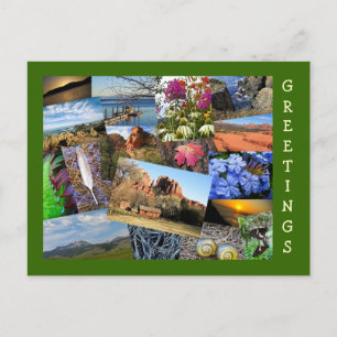 Cartão Postal Colagem da Natureza e da Natureza