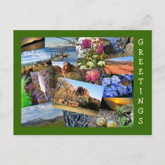 Cartão Postal Colagem da Natureza e da Natureza
